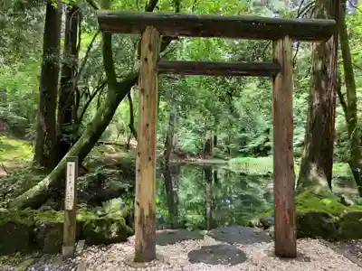 平泉寺白山神社(福井県)