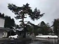 厚真神社のその他建物