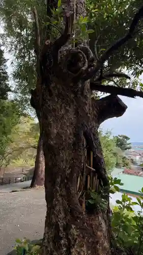 那古寺(千葉県)