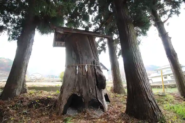 山家神社の自然