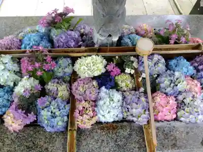 足羽神社(福井県)