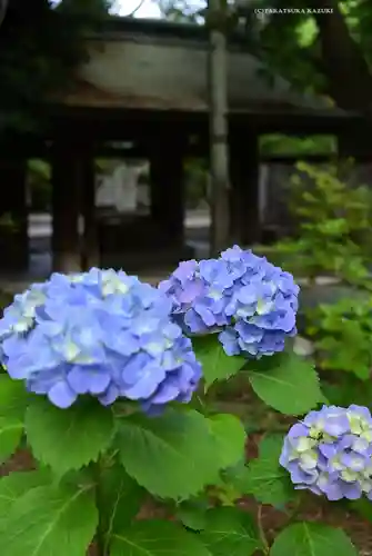 平塚八幡宮(神奈川県)