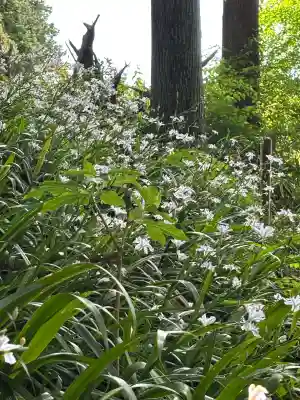 岩戸別神社(栃木県)
