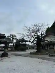 法恩寺(埼玉県)