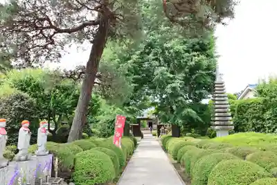 円泉寺(埼玉県)