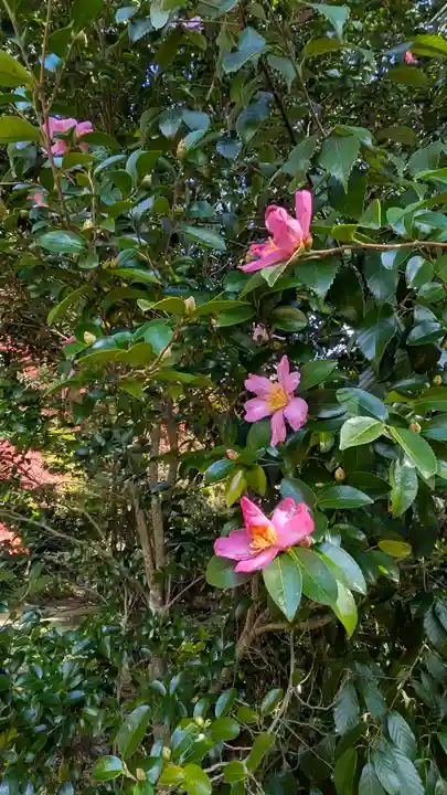 神護寺(京都府)