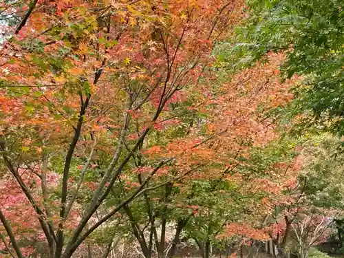 武雄神社の自然