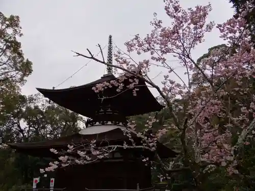 石山寺(滋賀県)