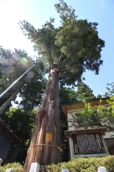王城山神社の自然