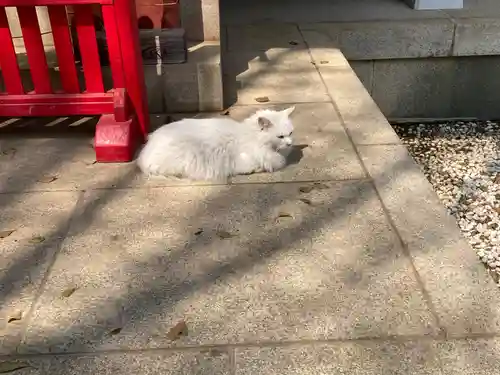 小金八坂神社(千葉県)