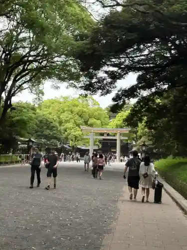 明治神宮(東京都)