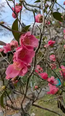 惠心院(京都府)