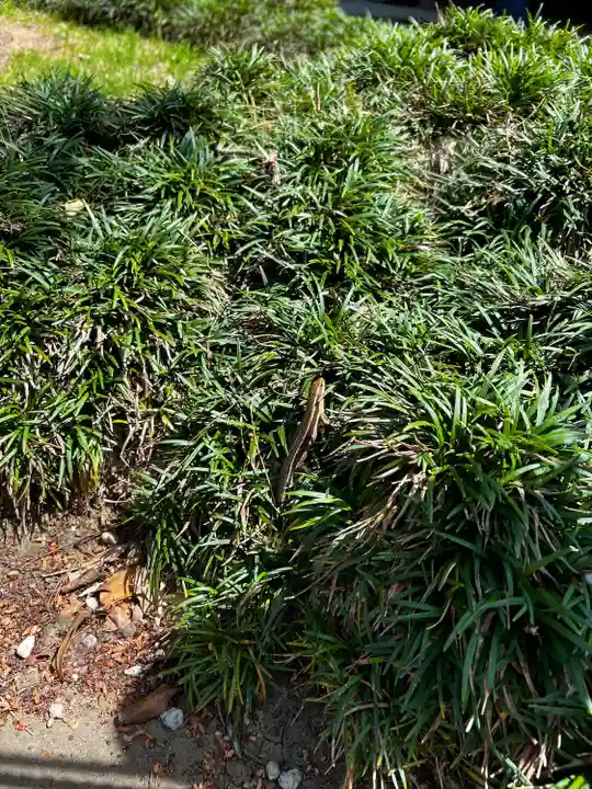 笠間稲荷神社の動物