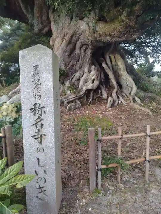 称名寺(宮城県)