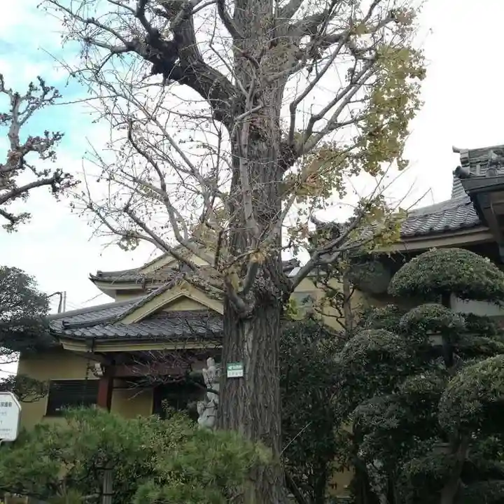 密蔵院のその他建物