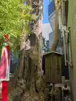 東神奈川熊野神社(神奈川県)