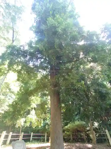 無量光寺(神奈川県)
