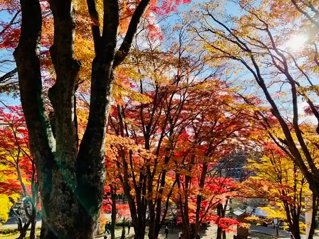 土津神社|こどもと出世の神さまの景色