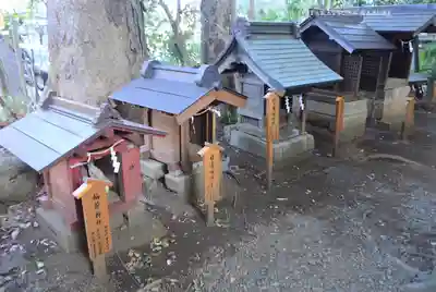 川越氷川神社(埼玉県)