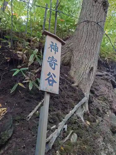 白石神社の自然
