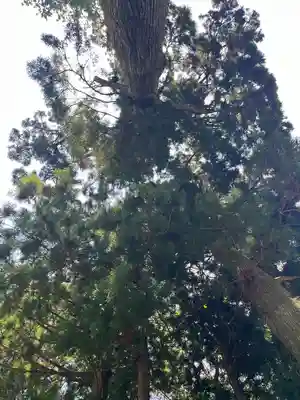 富士山東口本宮 冨士浅間神社(静岡県)