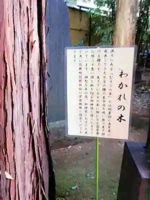 くまくま神社(導きの社 熊野町熊野神社)(東京都)