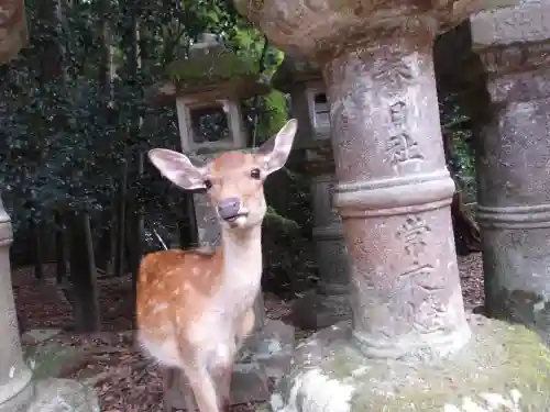 春日大社(奈良県)