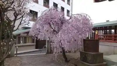 千住神社(東京都)