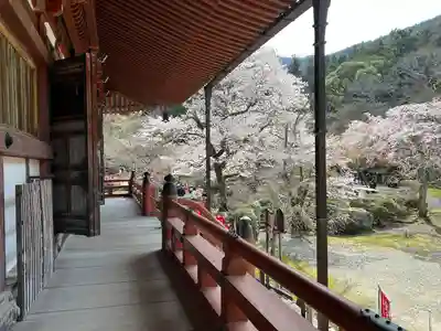 醍醐寺(京都府)