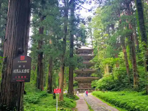 出羽神社(出羽三山神社)～三神合祭殿～の自然