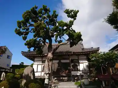 本覚寺の本殿・本堂