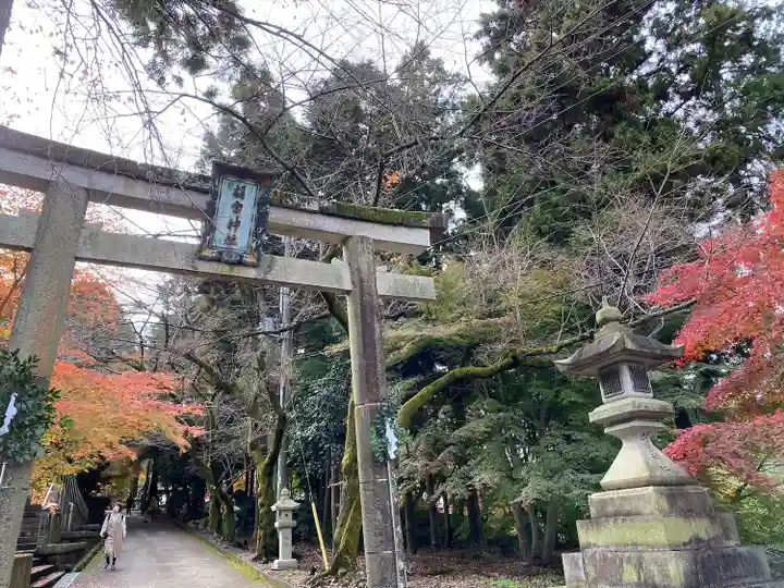 胡宮神社(敏満寺史跡)の鳥居