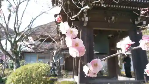 海蔵寺のその他建物