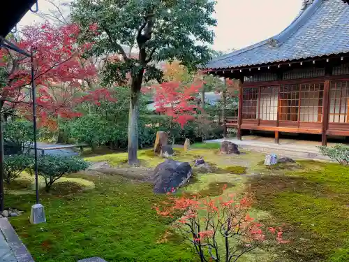 建仁寺（建仁禅寺）の庭園