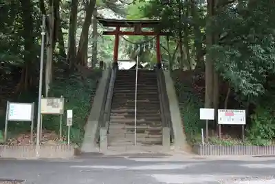 氷川女體神社の鳥居