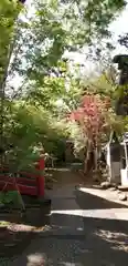 須賀神社の庭園