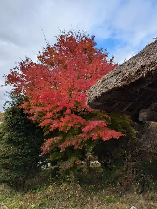 東円寺(山梨県)