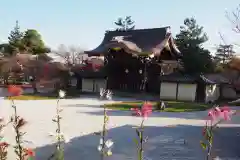 大覚寺の庭園