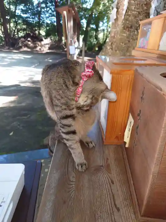 氷川女體神社の動物