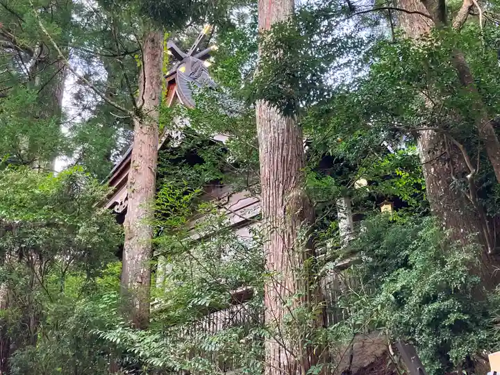 天河大辨財天社の自然