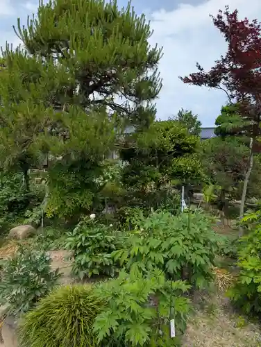 清眼寺(岡山県)