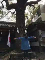 若一神社(京都府)