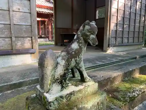 稲荷神社の狛犬