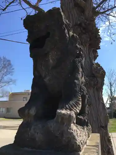 篠路神社の狛犬