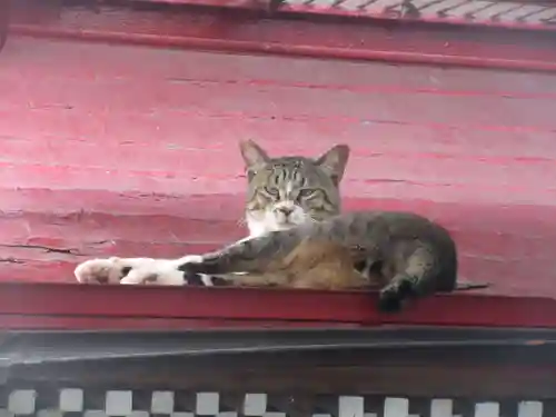 出世弁天の動物