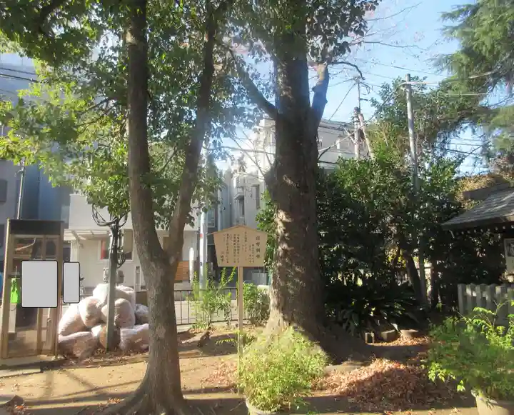 丸子山王日枝神社(神奈川県)