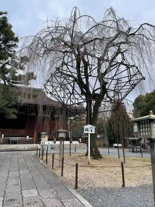 大報恩寺(千本釈迦堂)(京都府)