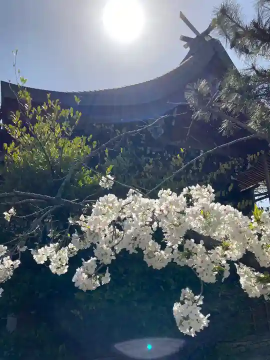 尾上神社の本殿・本堂