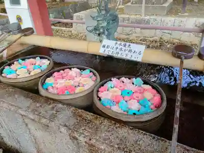 津島神社の手水舎