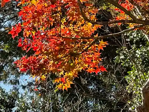 龍潭寺(滋賀県)